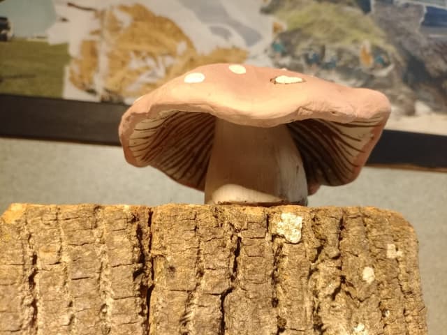 sculptural ceramics workshop sculptural ceramics workshop